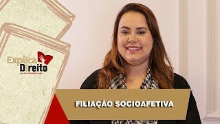 Explica Direito Filiação Socioafetiva  2019 [upl. by Camarata560]