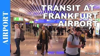 TRANSIT WALK AT FRANKFURT Airport FRA Terminal 1  Connection Flight Transfer Arriving amp Departing [upl. by Nanni]